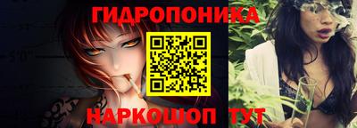 амф Краснознаменск
